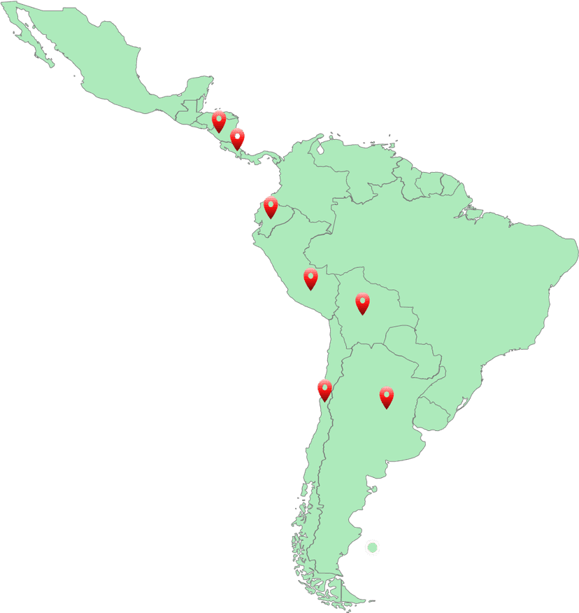 Nuestros proyectos